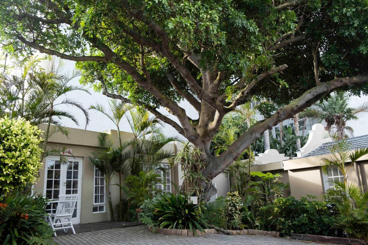Conifer Beach House Puerto Elizabeth Exterior foto